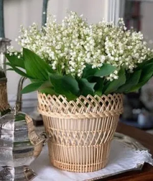 Albi Flower Vase