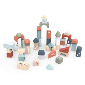 Building Blocks 50 piece set - 12M 
