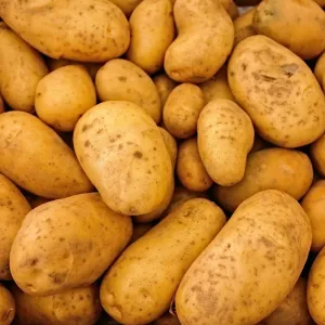 Bulk Ontario Potatoes