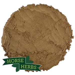 Chaste Tree Berry Powder (Angnus Castus)
