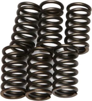EBC CSK10 Redline Clutch Springs