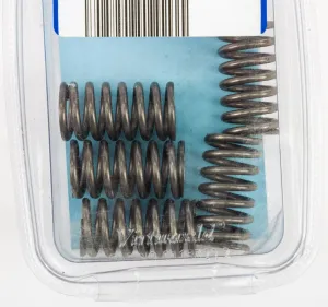 EBC CSK170 Redline Clutch Springs