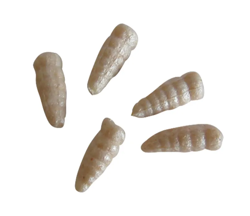 Gulp Alive Waxies/Maggots