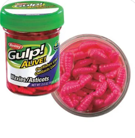 Gulp Alive Waxies/Maggots
