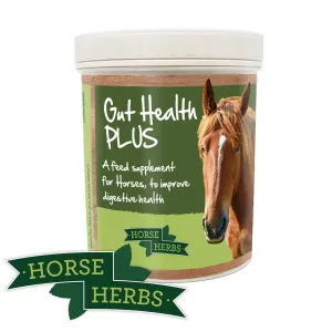 Gut Health PLUS