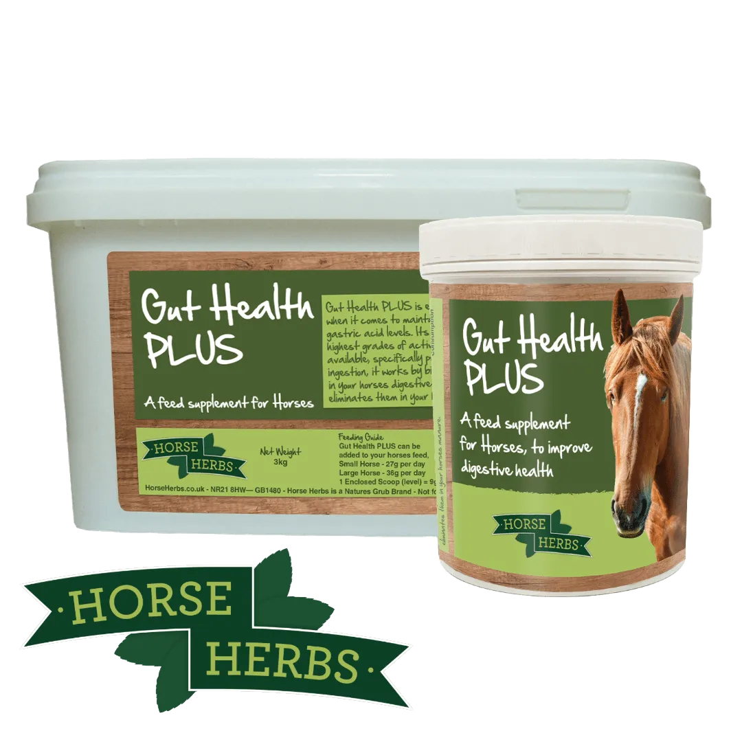 Gut Health PLUS