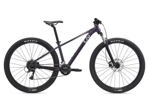 Liv Tempt 3 (S) 29"