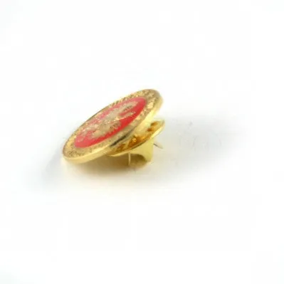 Round Polish Eagle with Gold Toned Accents Lapel Pin