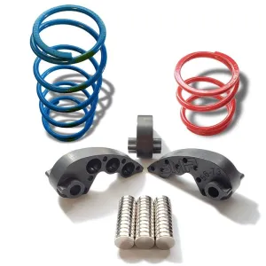 RS1 Stage 1 Clutch Kit
