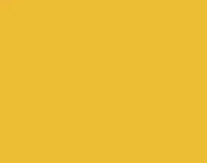 satin ribbon - saffron