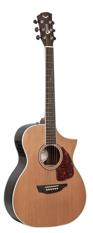 SGW Orchestra electric/acoustic guitar.