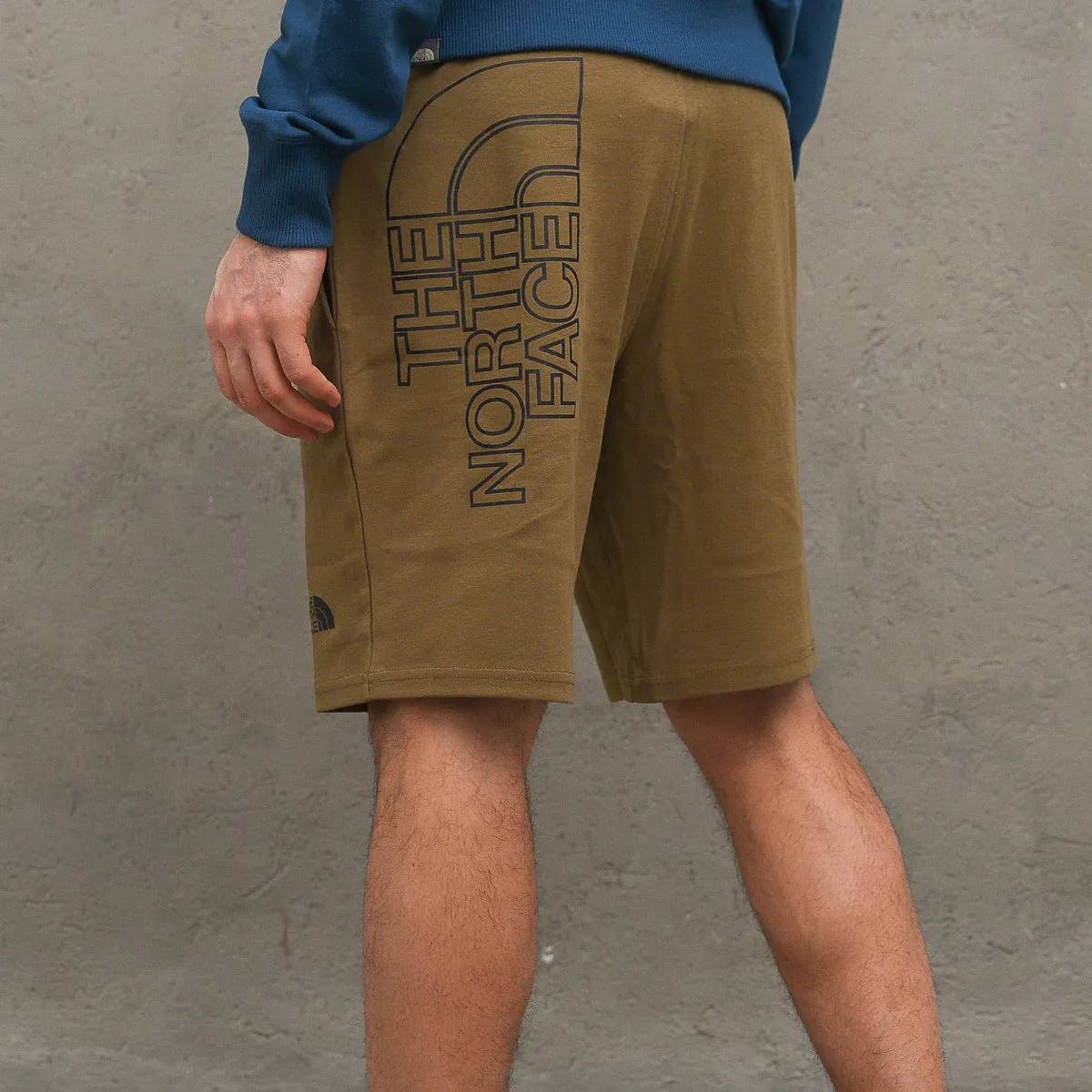 The North Face Graphic Short Light