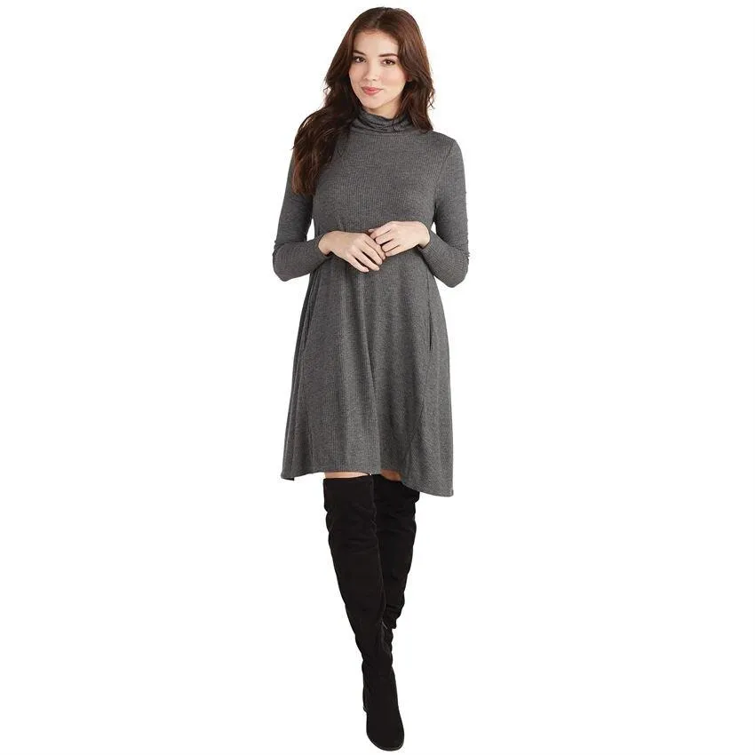 Topher Turtleneck Jersey Dress