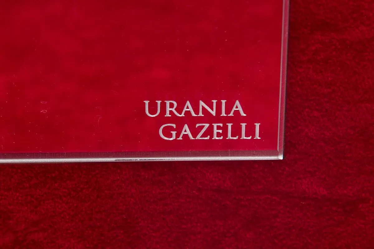 Urania Gazelli Silver Glitter Travel Case