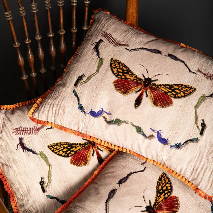 wood moth fringed cushion